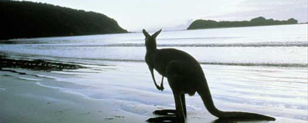 vivid outback & secret islands